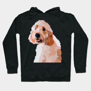 Cute Golden Doodle 2 Hoodie